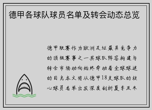 德甲各球队球员名单及转会动态总览